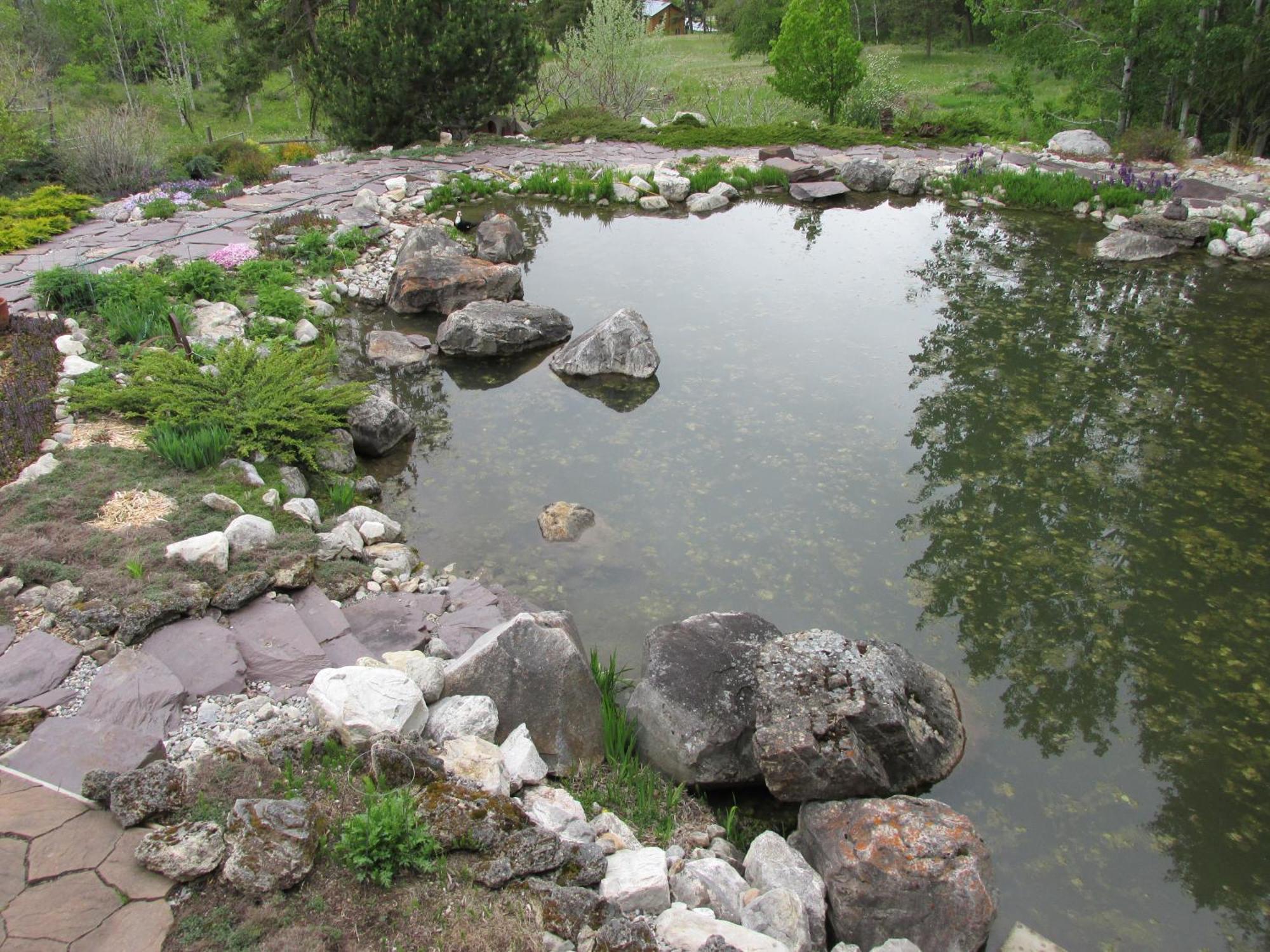 Parson Beard'S Creek Bed And Breakfast المظهر الخارجي الصورة